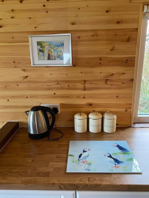 Idyllic Cornish Retreat At Puffin Lodge ヘルストン エクステリア 写真