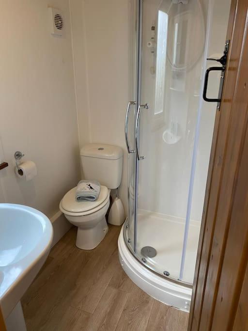 Idyllic Cornish Retreat At Puffin Lodge ヘルストン エクステリア 写真