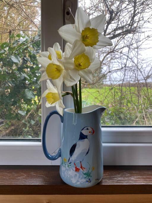 Idyllic Cornish Retreat At Puffin Lodge ヘルストン エクステリア 写真