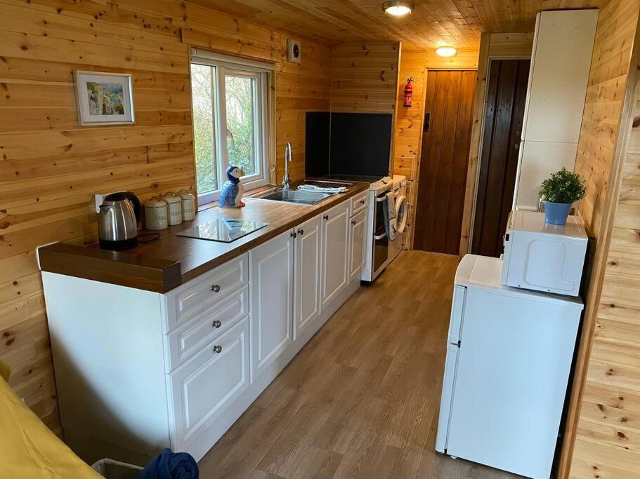 Idyllic Cornish Retreat At Puffin Lodge ヘルストン エクステリア 写真